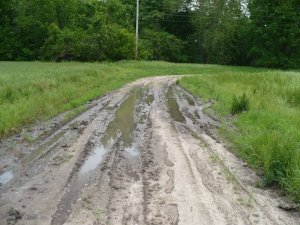 Muddy Road